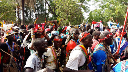 Photo d'archive : Cérémonie du bois sacré en Casamance